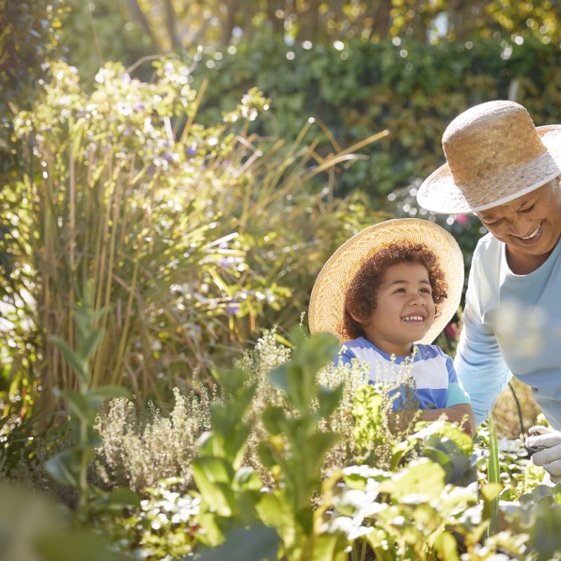 A grandmother and grandchild sit in a patch of sunshine, wearing gardening gear, surrounded by lush greenery.